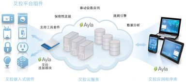 網(wǎng)絡(luò)技術(shù)開(kāi)發(fā) 動(dòng)點(diǎn)科技的前沿探索與實(shí)踐